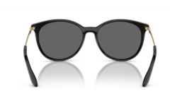 ARMANI EXCHANGE 0AX4140S 815887 Kadın Güneş Gözlüğü