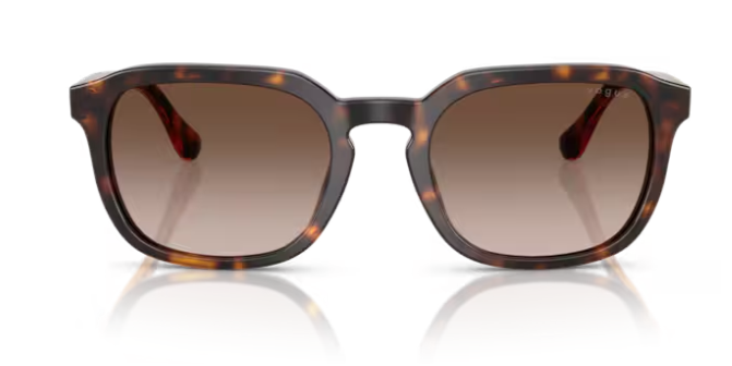 VOGUE 0VO5595SI W65613 Erkek Güneş Gözlüğü