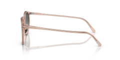 OLIVER PEOPLES 0OV5183S 1758BH Erkek Güneş Gözlüğü