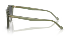 VOGUE 0VO5599S 318711 Erkek Güneş Gözlüğü