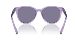 ARMANI EXCHANGE 0AX4144SU 82361U Kadın Güneş Gözlüğü