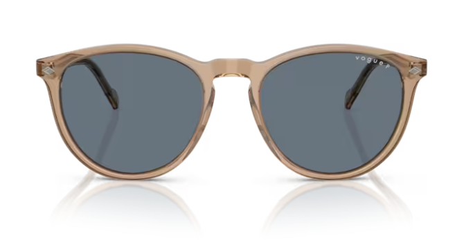 VOGUE 0VO5599S 31894Y Erkek Güneş Gözlüğü