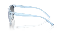 ARMANI EXCHANGE 0AX4144SU 8345D6 Kadın Güneş Gözlüğü