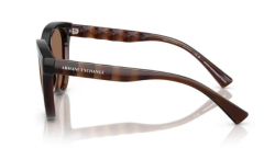 ARMANI EXCHANGE 0AX4148SU 835773 Kadın Güneş Gözlüğü