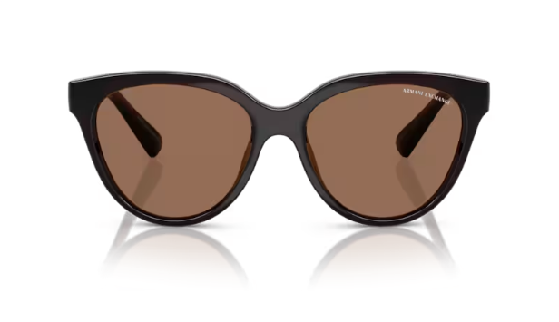ARMANI EXCHANGE 0AX4148SU 835773 Kadın Güneş Gözlüğü