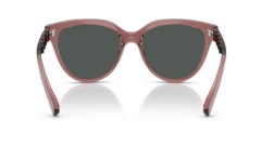 ARMANI EXCHANGE 0AX4148SU 835987 Kadın Güneş Gözlüğü