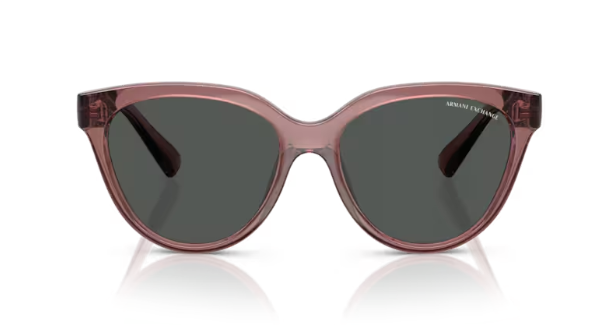 ARMANI EXCHANGE 0AX4148SU 835987 Kadın Güneş Gözlüğü