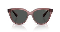 ARMANI EXCHANGE 0AX4148SU 835987 Kadın Güneş Gözlüğü