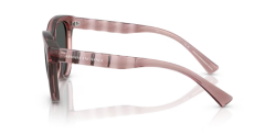 ARMANI EXCHANGE 0AX4148SU 835987 Kadın Güneş Gözlüğü