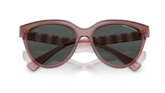 ARMANI EXCHANGE 0AX4148SU 835987 Kadın Güneş Gözlüğü