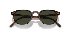 OLIVER PEOPLES 0OV5219S 1724P1 Erkek Güneş Gözlüğü