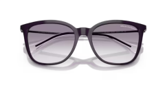 ARMANI EXCHANGE 0AX4151S 836479 Kadın Güneş Gözlüğü