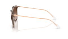 ARMANI EXCHANGE 0AX4151S 836613 Kadın Güneş Gözlüğü