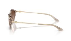 ARMANI EXCHANGE 0AX4152SU 836613 Kadın Güneş Gözlüğü