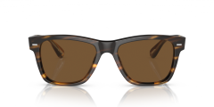 OLIVER PEOPLES 0OV5393SU 100357 Erkek Güneş Gözlüğü