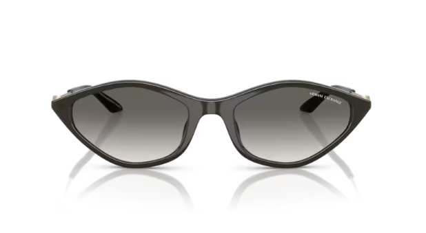 ARMANI EXCHANGE 0AX4152SU 836711 Kadın Güneş Gözlüğü