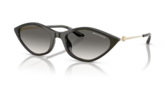 ARMANI EXCHANGE 0AX4152SU 836711 Kadın Güneş Gözlüğü