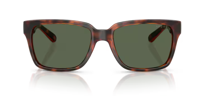 VOGUE 0VO5648SI 271871 Erkek Güneş Gözlüğü