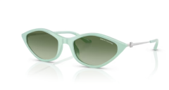 ARMANI EXCHANGE 0AX4152SU 83688E Kadın Güneş Gözlüğü