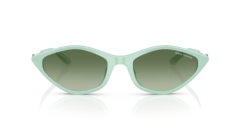 ARMANI EXCHANGE 0AX4152SU 83688E Kadın Güneş Gözlüğü