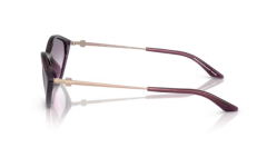 ARMANI EXCHANGE 0AX4152SU 836979 Kadın Güneş Gözlüğü