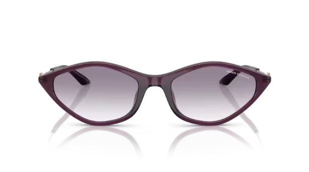 ARMANI EXCHANGE 0AX4152SU 836979 Kadın Güneş Gözlüğü