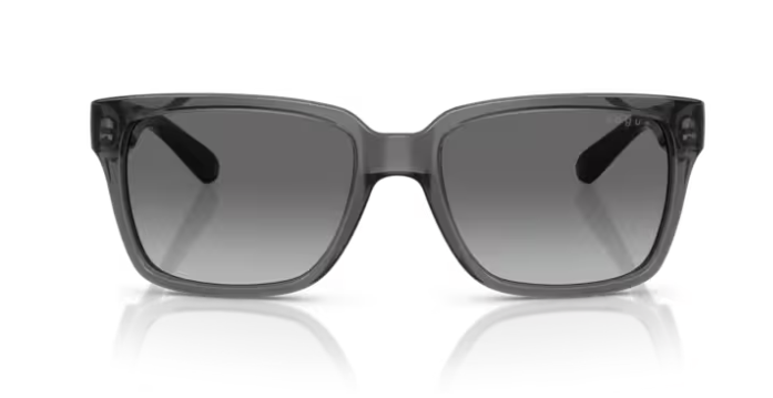 VOGUE 0VO5648SI 304211 Erkek Güneş Gözlüğü