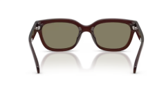 ARMANI EXCHANGE 0AX4155SU 837373 Kadın Güneş Gözlüğü