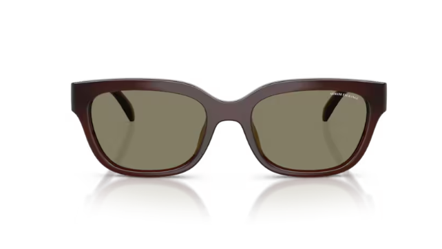 ARMANI EXCHANGE 0AX4155SU 837373 Kadın Güneş Gözlüğü