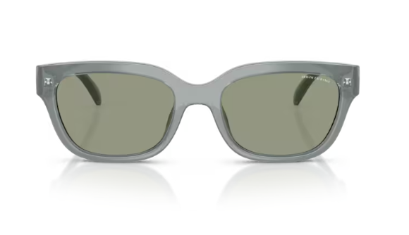 ARMANI EXCHANGE 0AX4155SU 8375/2 Kadın Güneş Gözlüğü