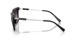 ARMANI EXCHANGE 0AX4158S 81588G Kadın Güneş Gözlüğü