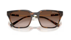 ARMANI EXCHANGE 0AX4158S 821313 Kadın Güneş Gözlüğü