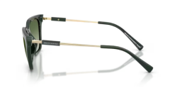 ARMANI EXCHANGE 0AX4158S 83828E Kadın Güneş Gözlüğü