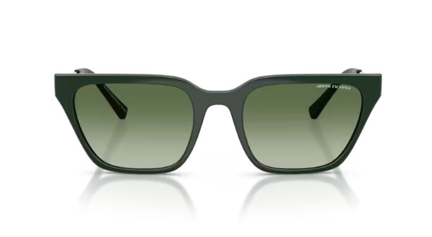 ARMANI EXCHANGE 0AX4158S 83828E Kadın Güneş Gözlüğü