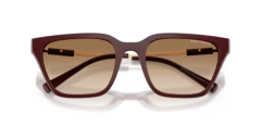 ARMANI EXCHANGE 0AX4158S 838389 Kadın Güneş Gözlüğü