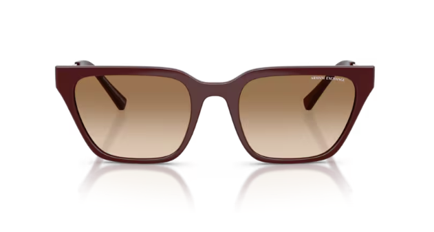 ARMANI EXCHANGE 0AX4158S 838389 Kadın Güneş Gözlüğü