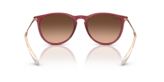 RAY-BAN 0RB4171 6815A5 Kadın Güneş Gözlüğü