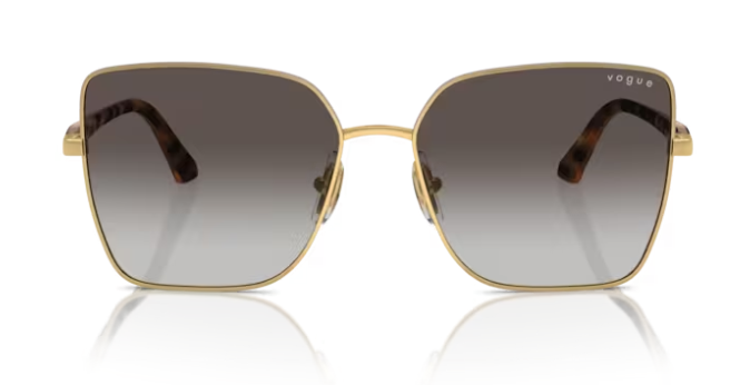 VOGUE 0VO4199S 51988G Kadın Güneş Gözlüğü
