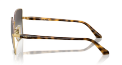 VOGUE 0VO4199S 51988G Kadın Güneş Gözlüğü