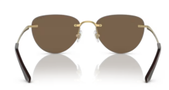 VOGUE 0VO4205S 280/73 Kadın Güneş Gözlüğü