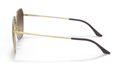 VOGUE 0VO4215SD 280/13 Kadın Güneş Gözlüğü