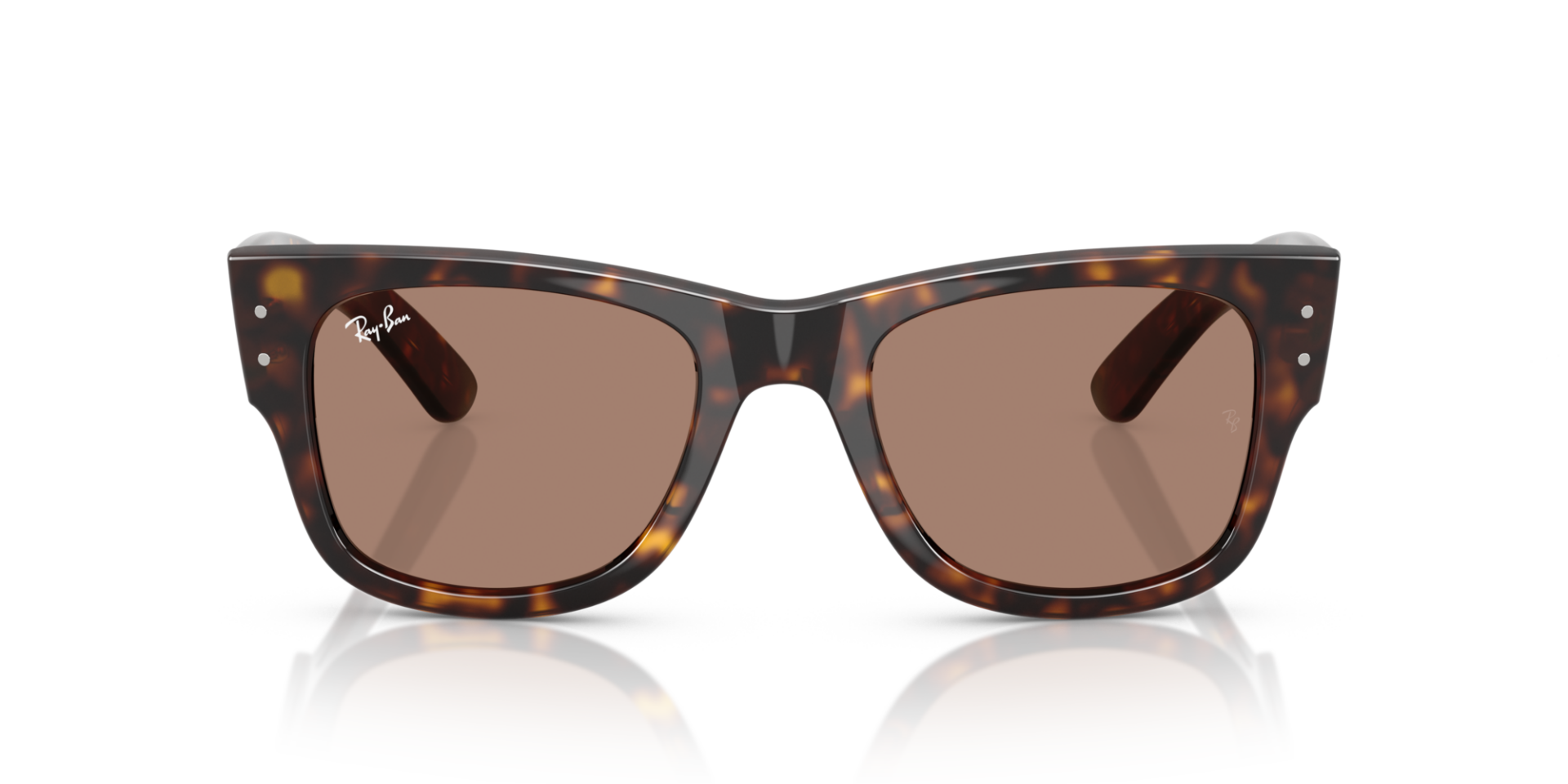 RAY-BAN 0RB0840S 902/1A Unisex Güneş Gözlüğü