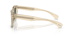OLIVER PEOPLES 0OV5542SU 1094BH Kadın Güneş Gözlüğü