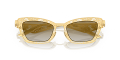 DOLCE & GABBANA 0DG2311 12246E Kadın Güneş Gözlüğü
