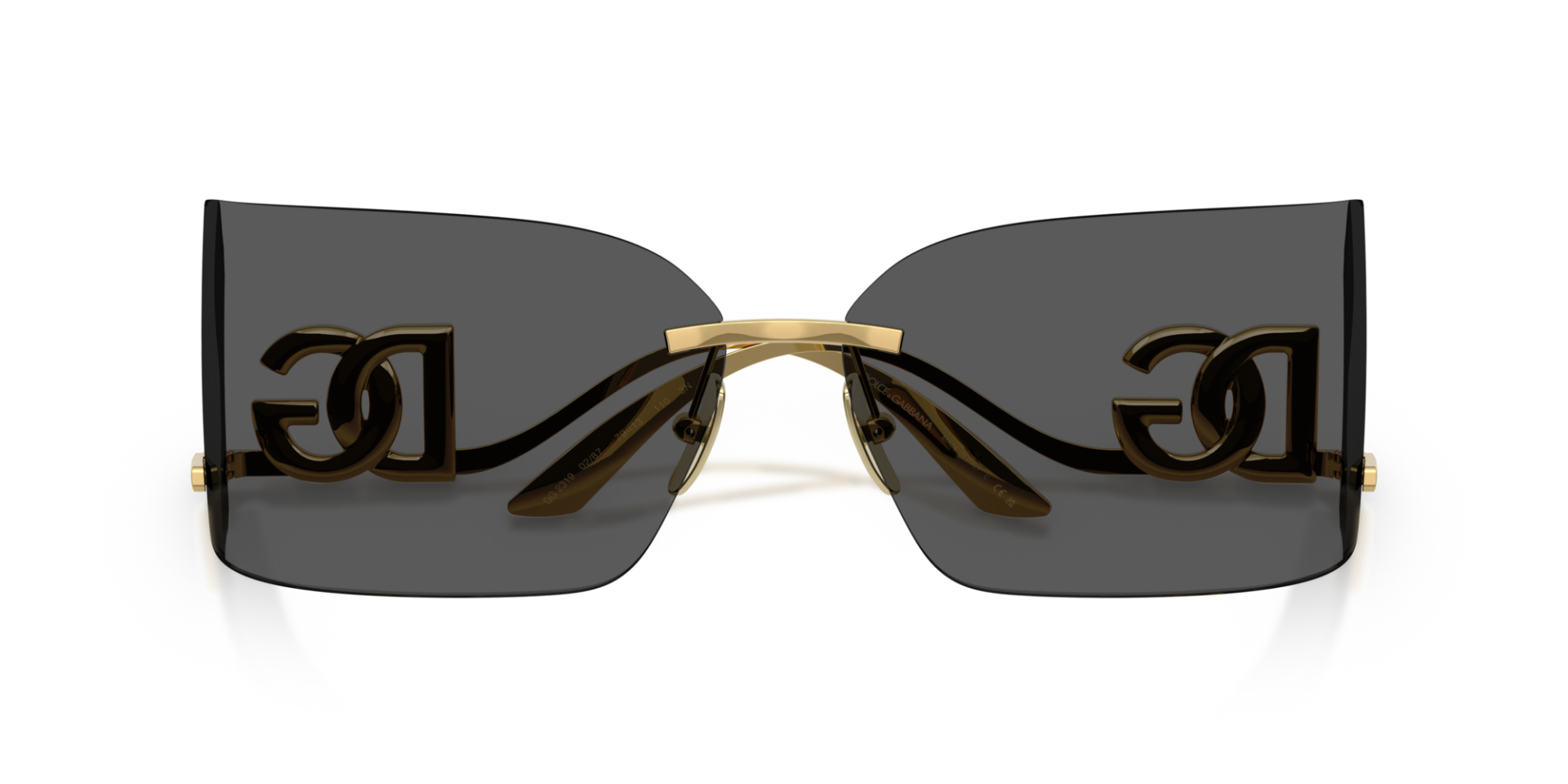 DOLCE & GABBANA 0DG2319 02/87 Kadın Güneş Gözlüğü