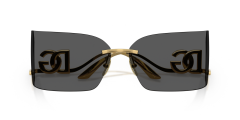 DOLCE & GABBANA 0DG2319 02/87 Kadın Güneş Gözlüğü