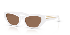 OLIVER PEOPLES 0OV5582SU 176073 Kadın Güneş Gözlüğü