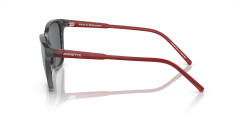 ARNETTE 0AN4291 28416G Güneş Gözlüğü