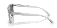ARNETTE 0AN4321 2858Z3 Güneş Gözlüğü
