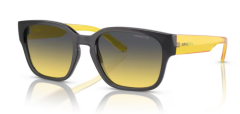 ARNETTE 0AN4325 27862Q Güneş Gözlüğü